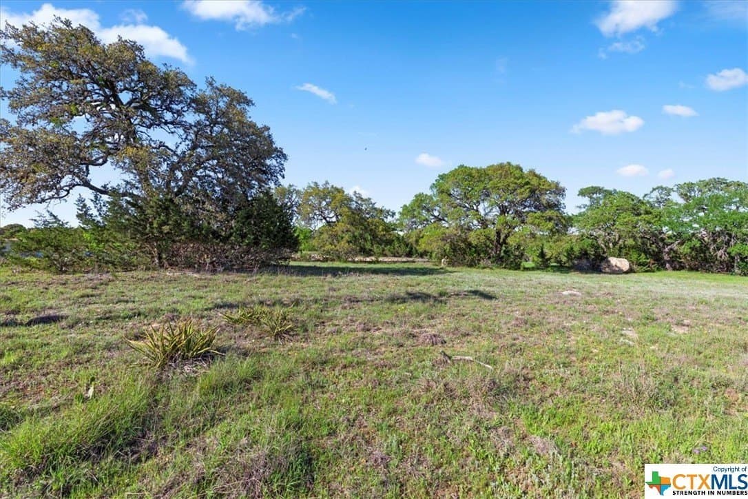 0.27 acres in Blanco County - photo 5