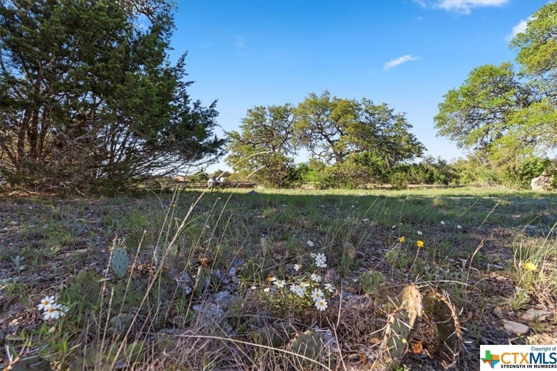 0.27 acres in Blanco County - photo 8