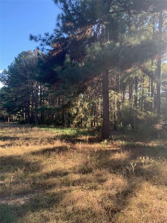 25.74 acres in Freestone County - photo 33
