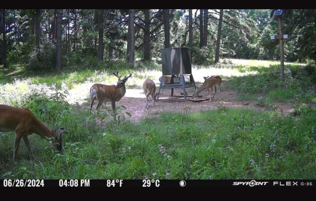 25.74 acres in Freestone County - photo 2