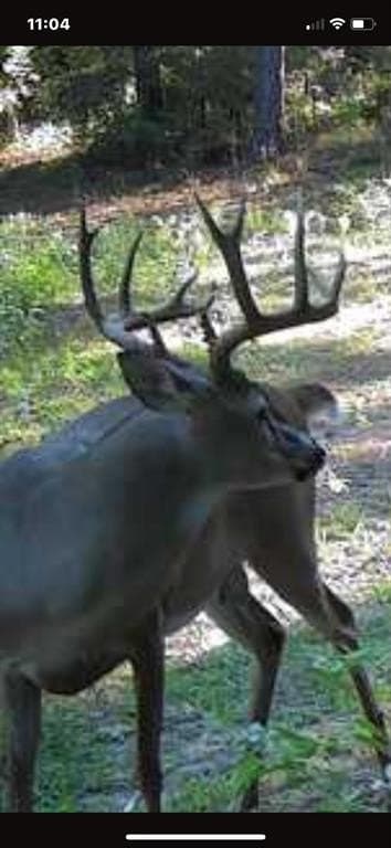25.74 acres in Freestone County - photo 24