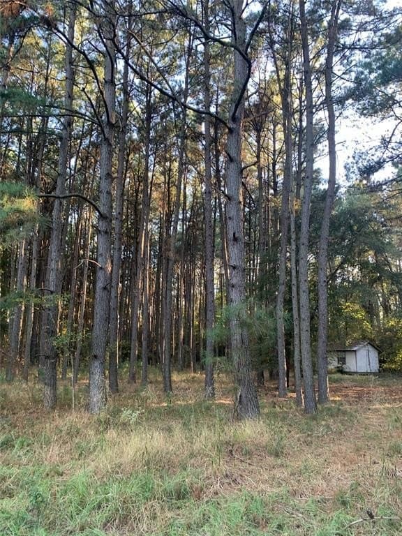25.74 acres in Freestone County - photo 29
