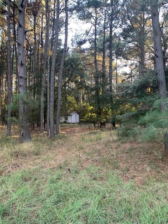 25.74 acres in Freestone County - photo 31