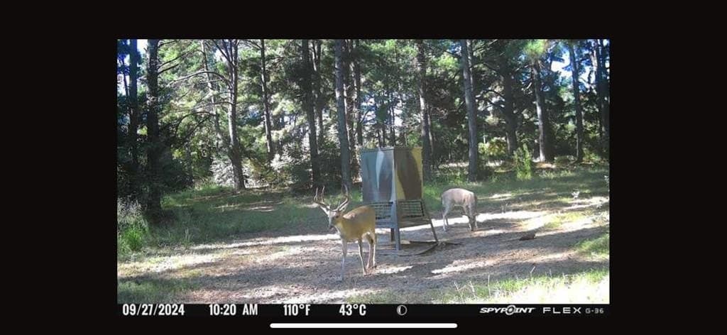 25.74 acres in Freestone County - photo 21