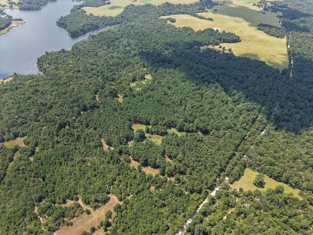 25.74 acres in Freestone County - photo 10