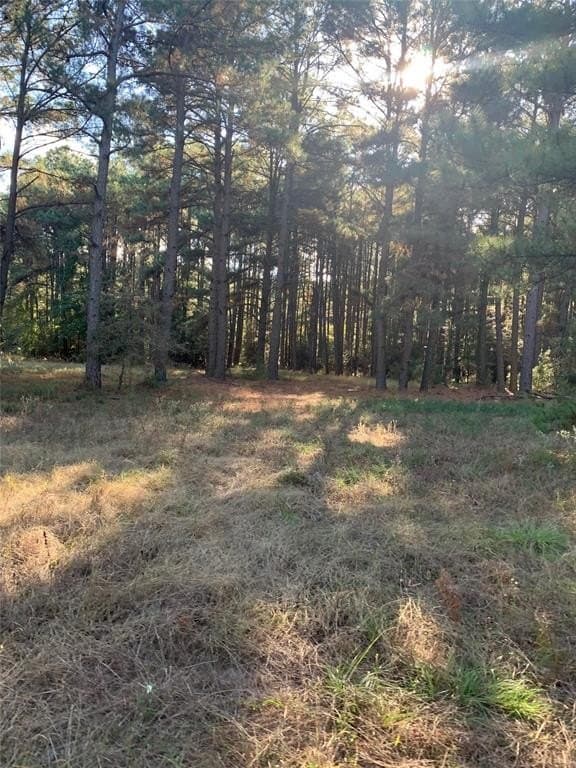 25.74 acres in Freestone County - photo 35