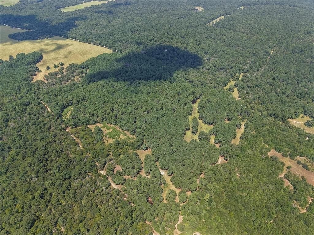 25.74 acres in Freestone County - photo 3