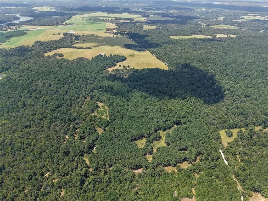 25.74 acres in Freestone County - photo 6