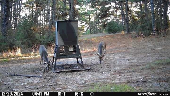 25.74 acres in Freestone County - photo 17