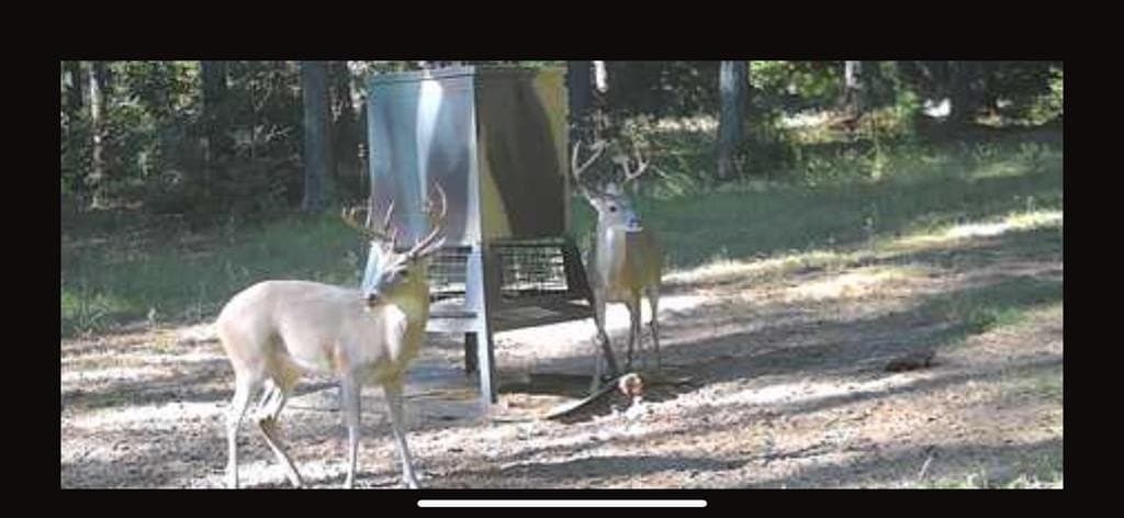 25.74 acres in Freestone County - photo 20