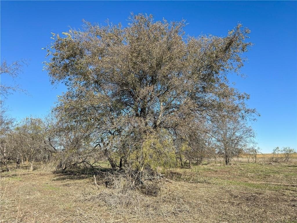 41 acres in McLennan County - photo 18
