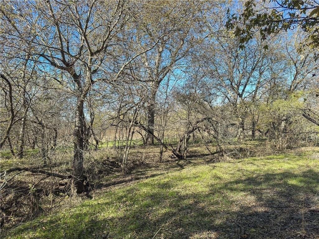 41 acres in McLennan County - photo 22