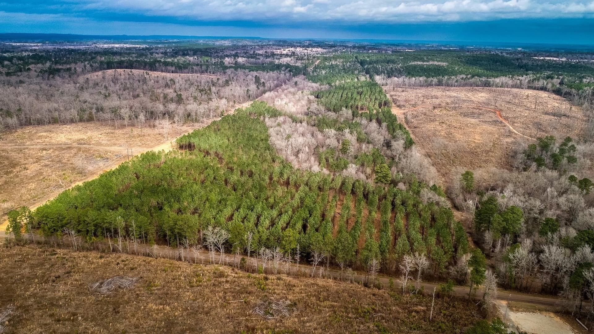 6.5 acres in Upshur County - photo 17