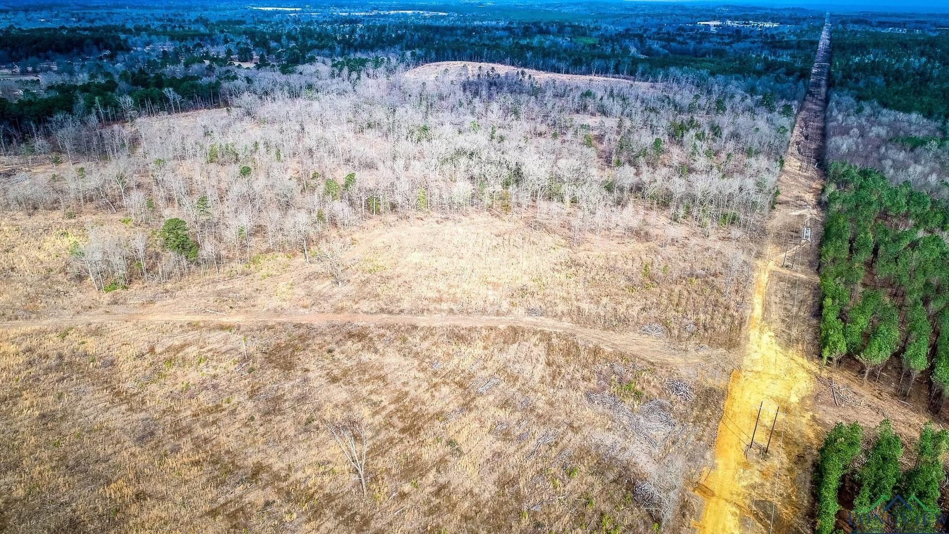 6.5 acres in Upshur County - photo 10