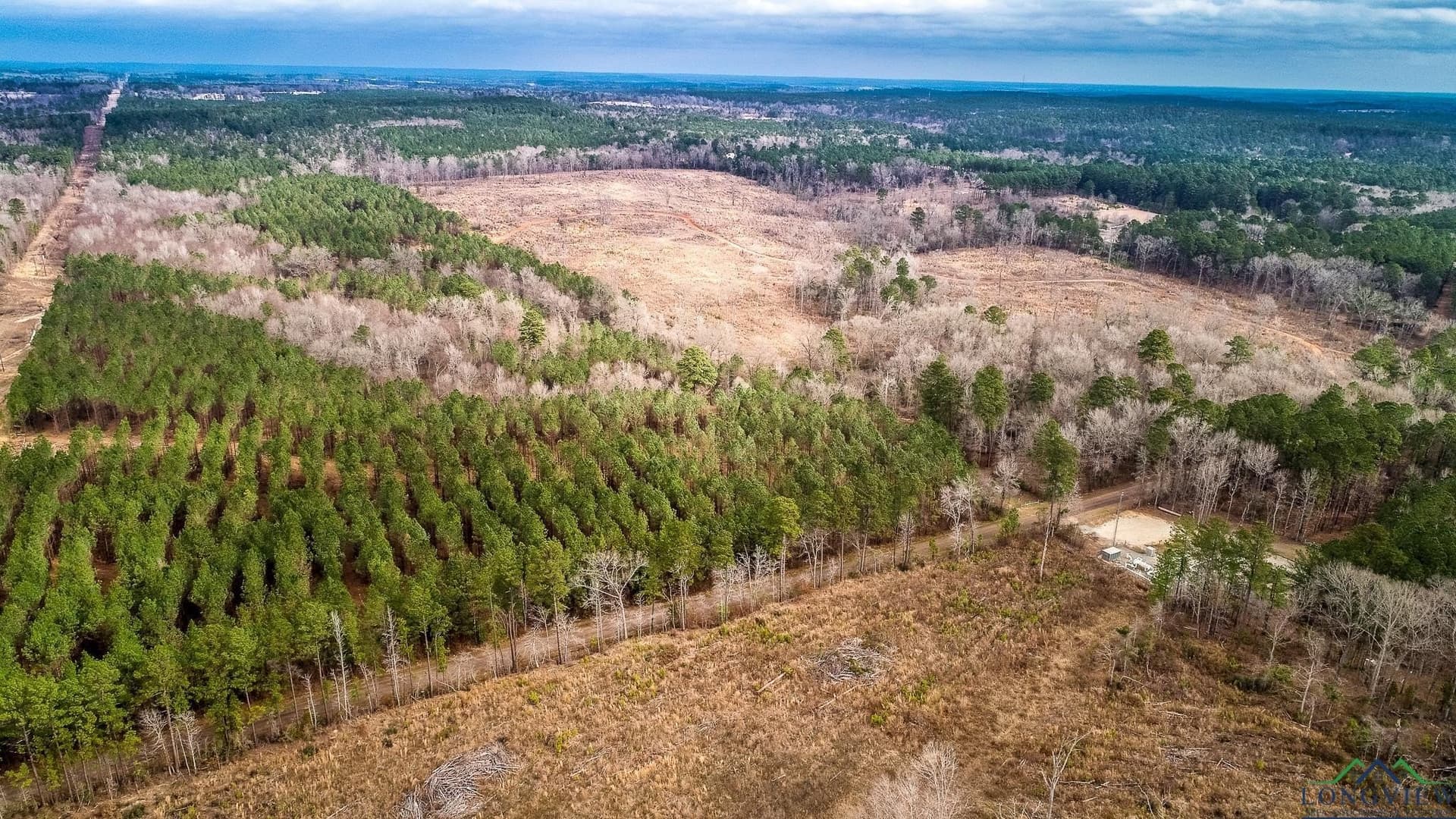 6.5 acres in Upshur County - photo 12