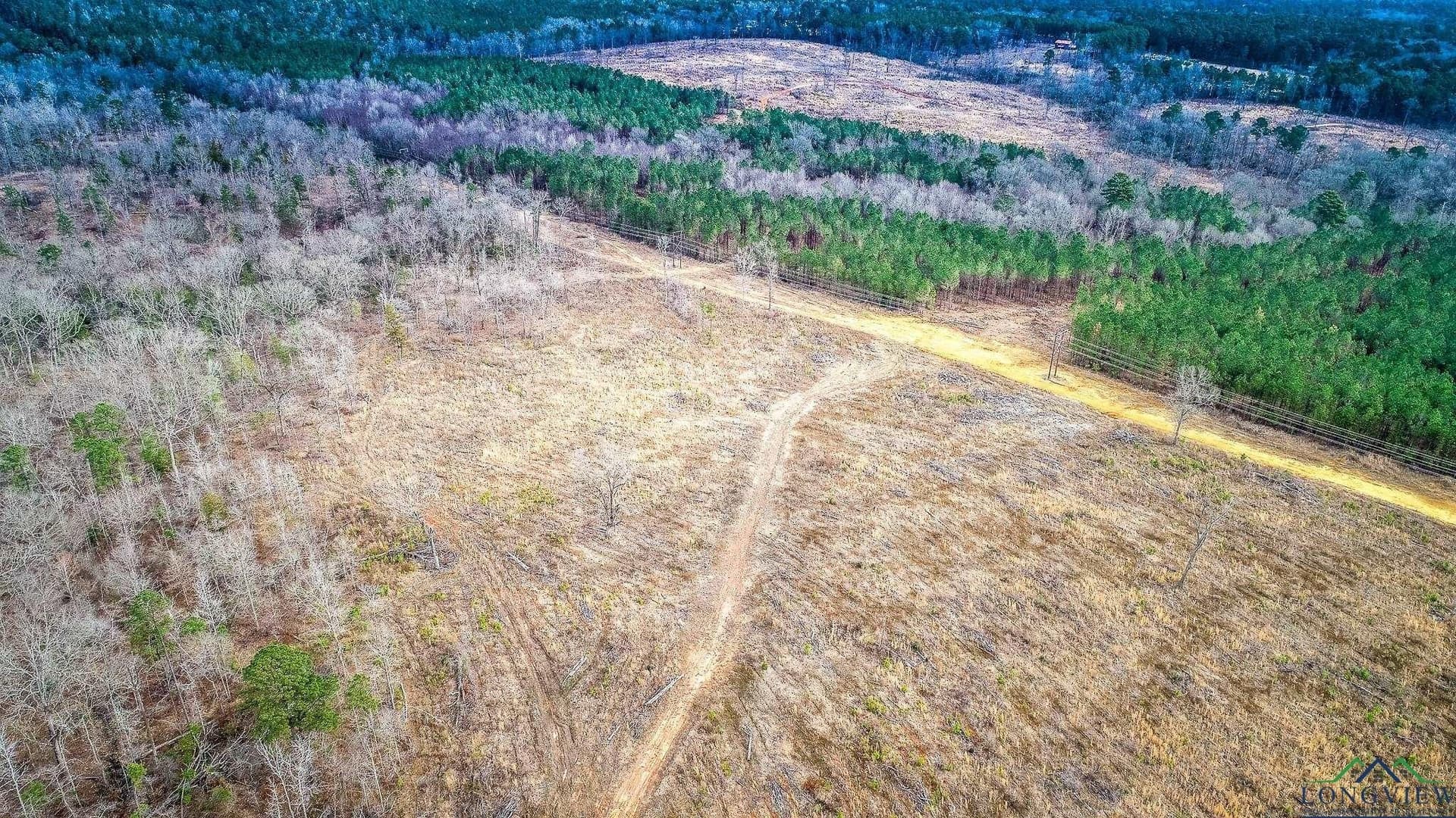 6.5 acres in Upshur County - photo 9