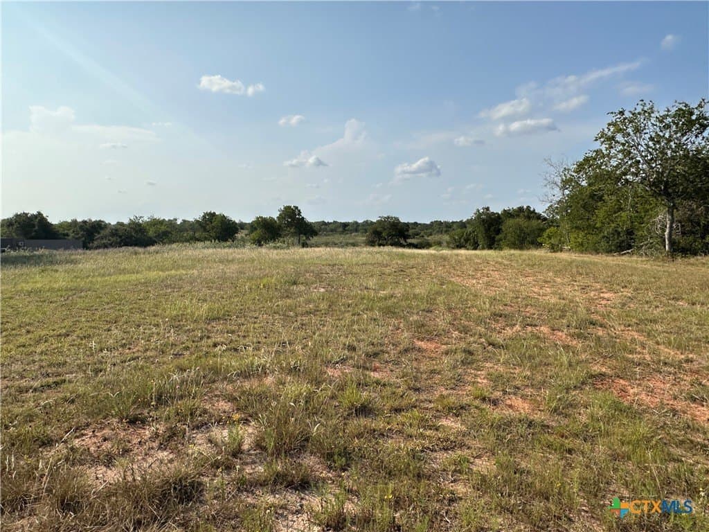3 acres in DeWitt County - photo 9