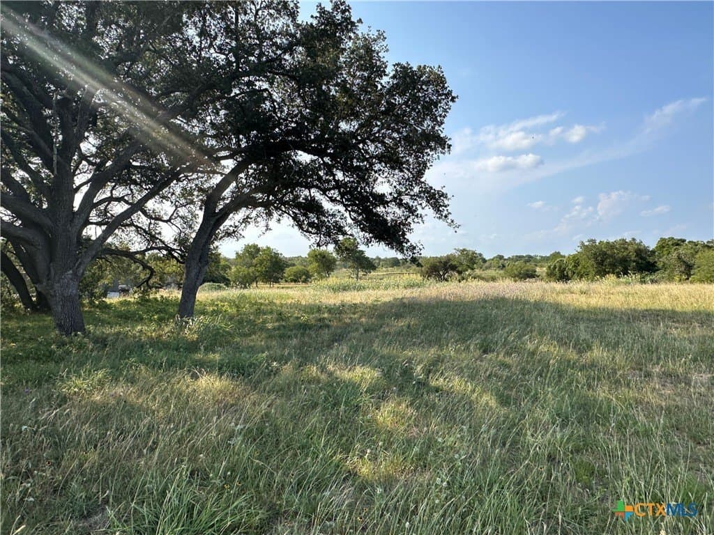 3 acres in DeWitt County - photo 2