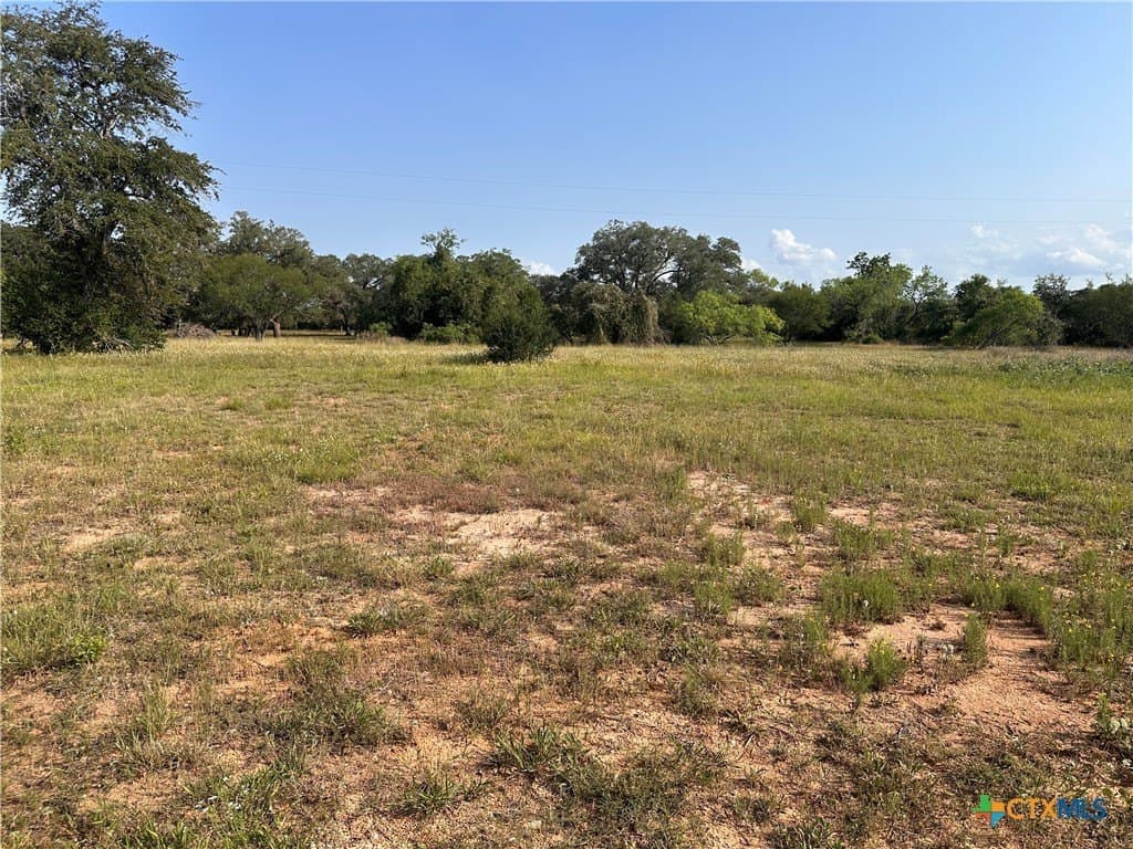3 acres in DeWitt County - photo 8