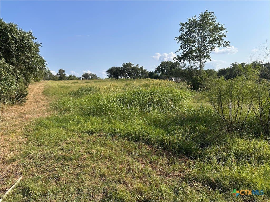 3 acres in DeWitt County - photo 3