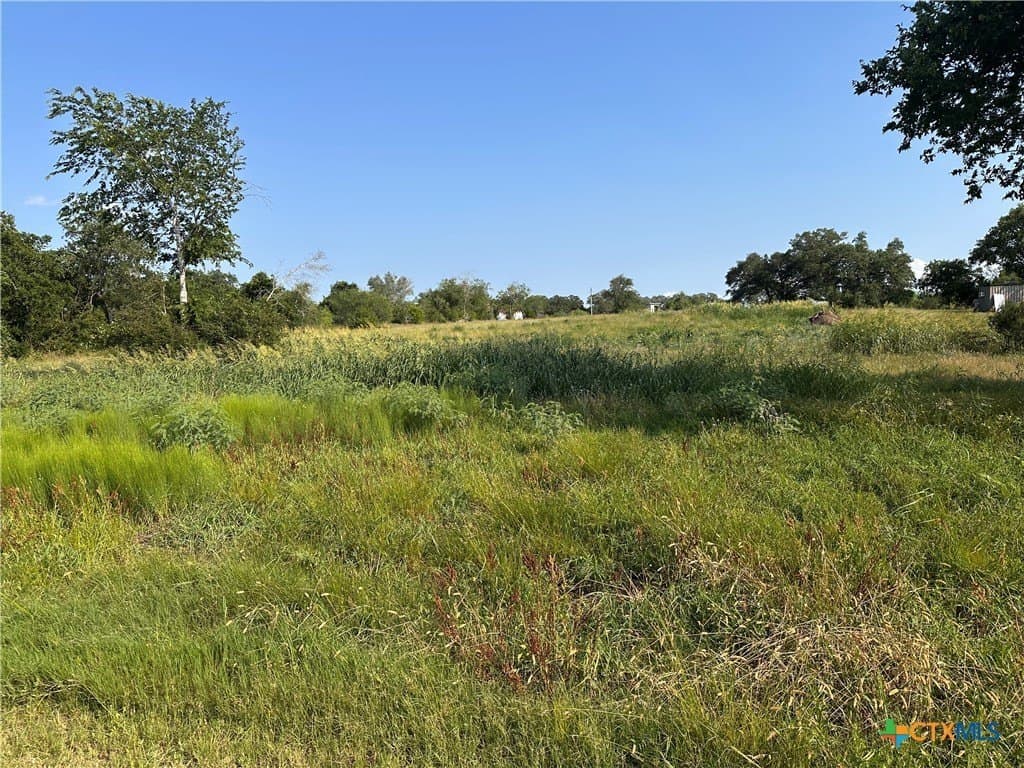 3 acres in DeWitt County - photo 4