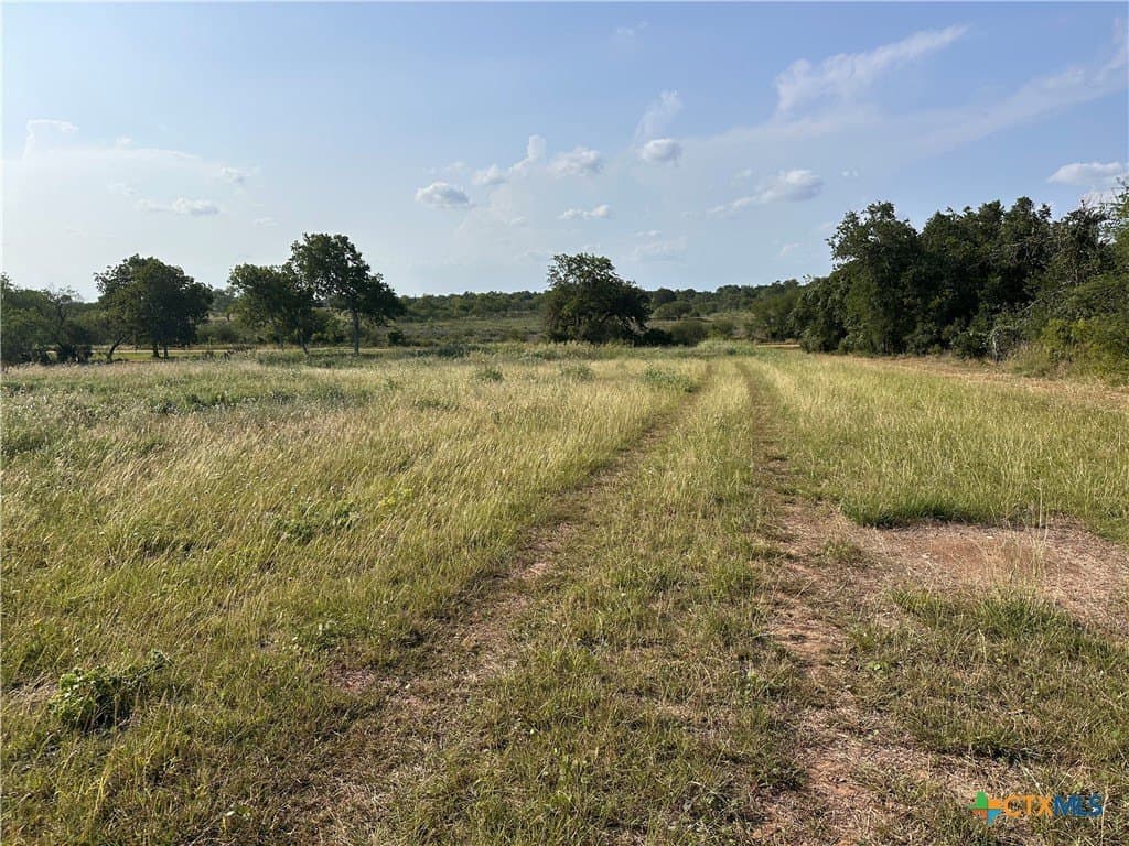 3 acres in DeWitt County - photo 5