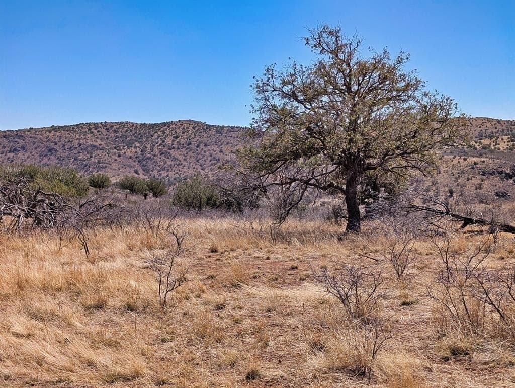 26.94 acres in Jeff Davis County - photo 45