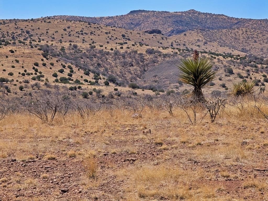 26.94 acres in Jeff Davis County - photo 43