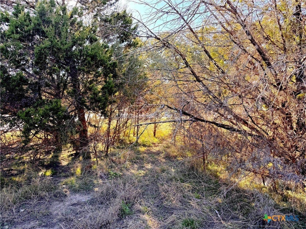 0.23 acres in Comal County - photo 9