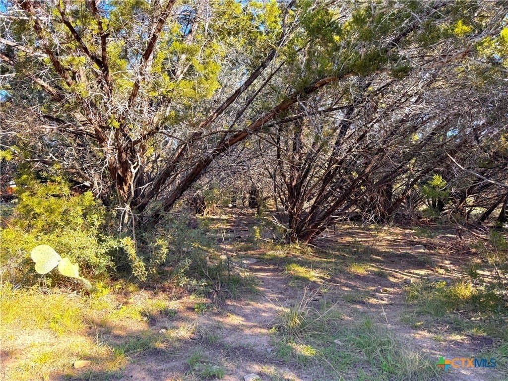 0.23 acres in Comal County - photo 8