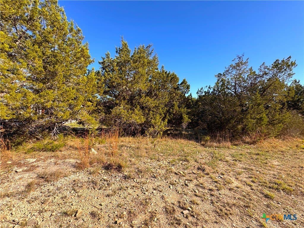 0.23 acres in Comal County - photo 6