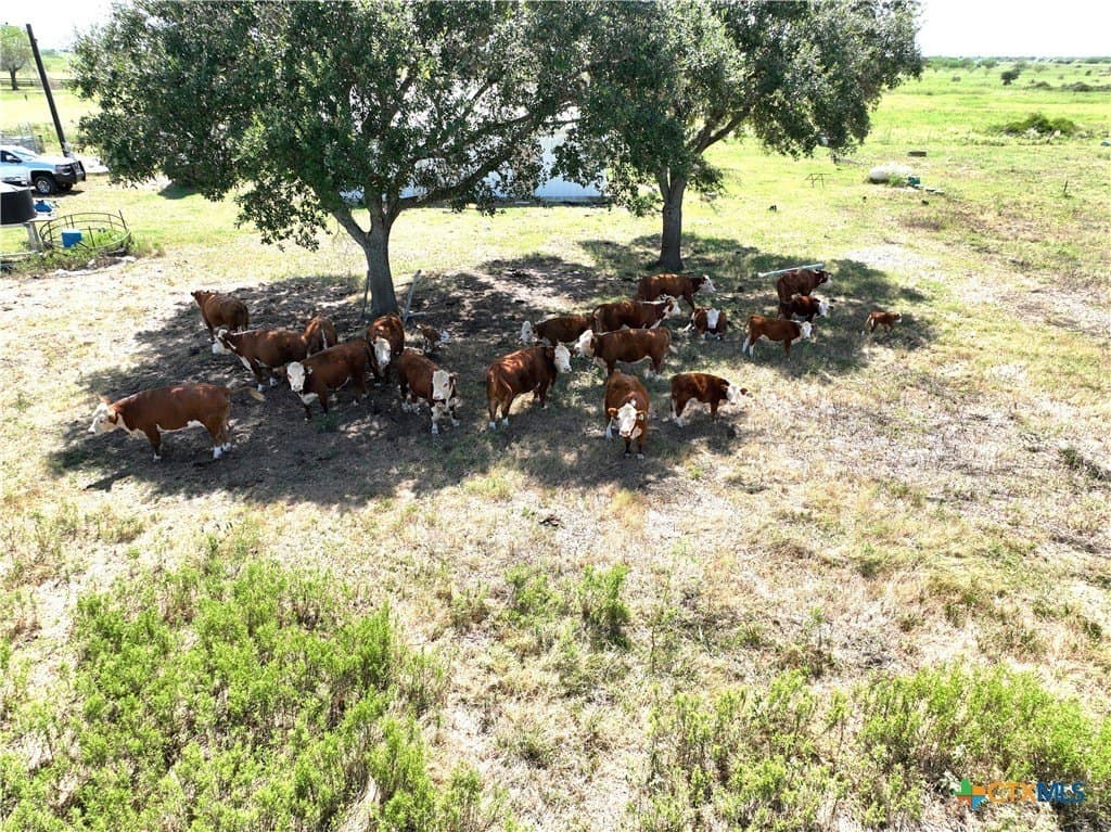 7.88 acres in Victoria County - photo 7