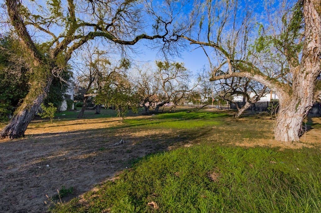 54,000 acres in Maverick County - photo 55