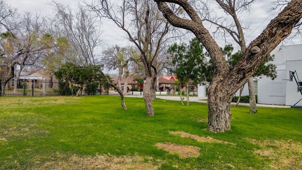 54,000 acres in Maverick County - photo 53