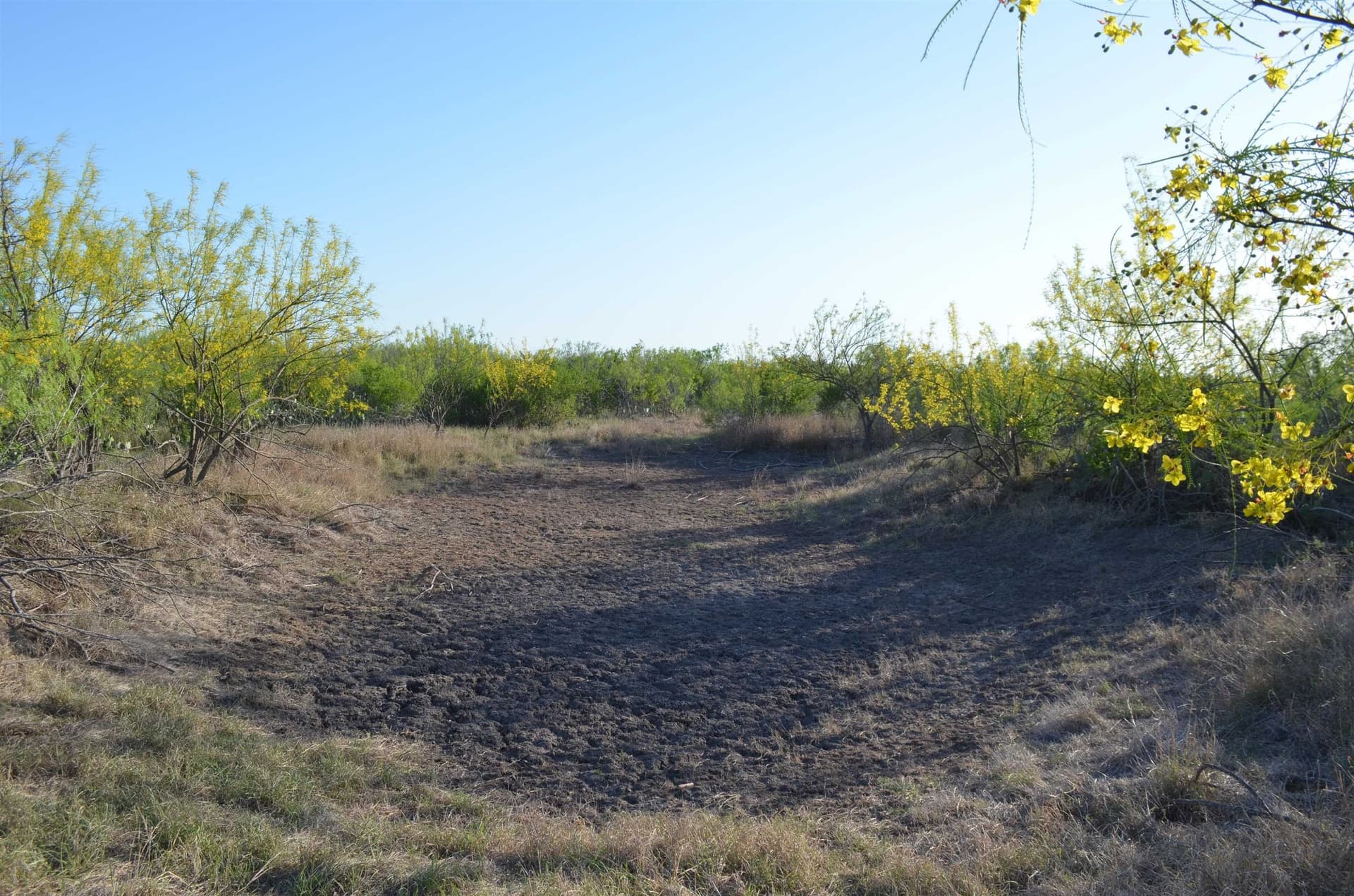 10.39 acres in Texas County - photo 8