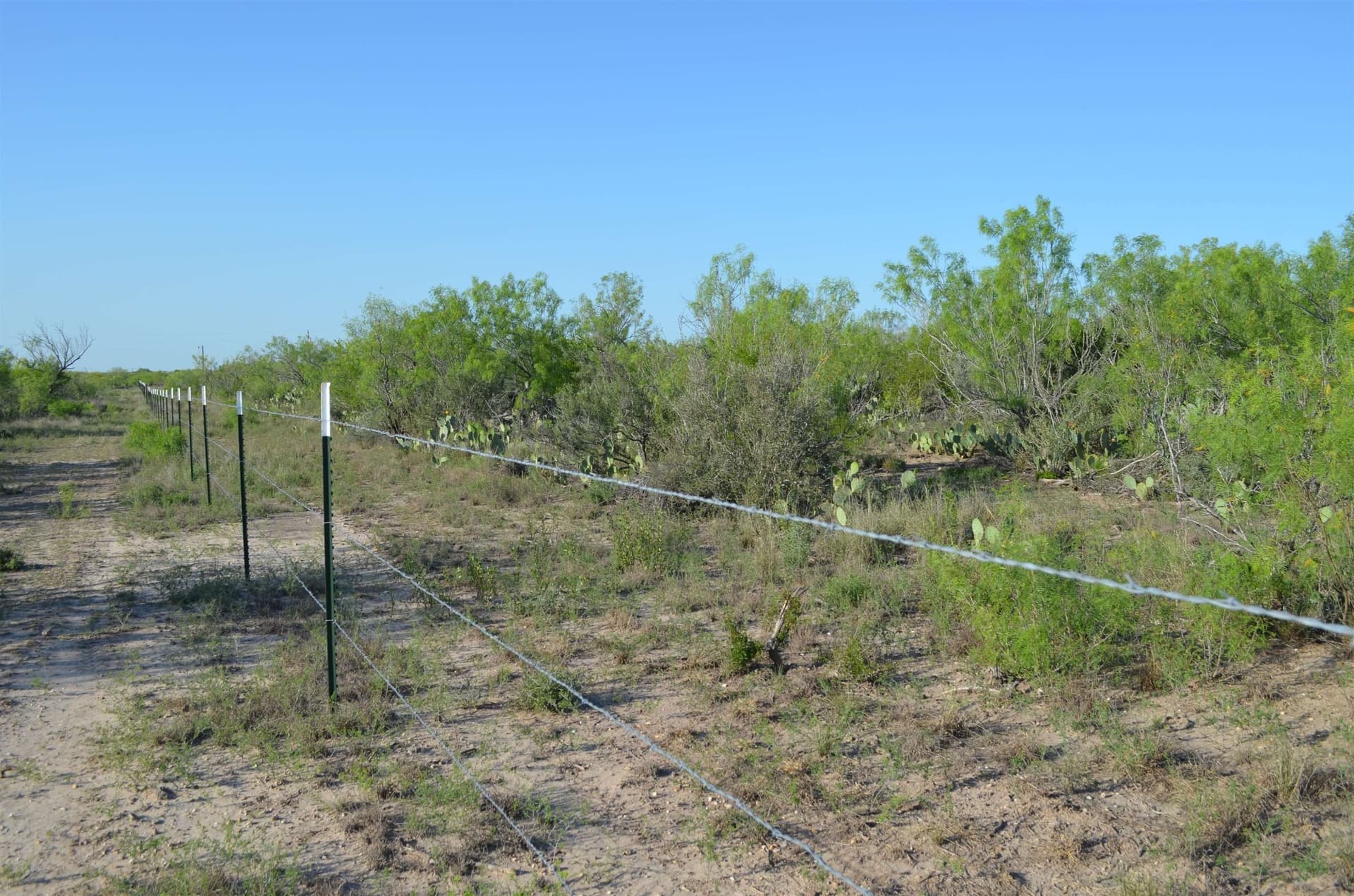 10.39 acres in Texas County - photo 12