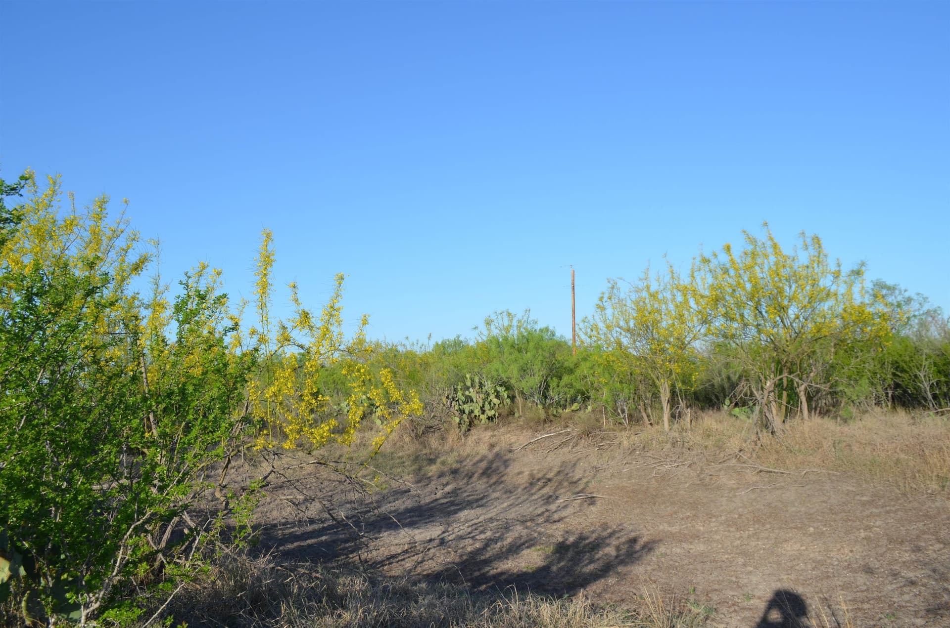 10.39 acres in Texas County - photo 9