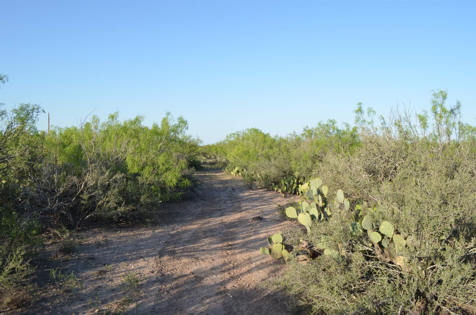 10.39 acres in Texas County - photo 10