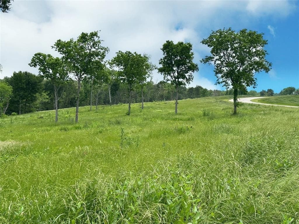 1.08 acres in Navarro County - photo 27