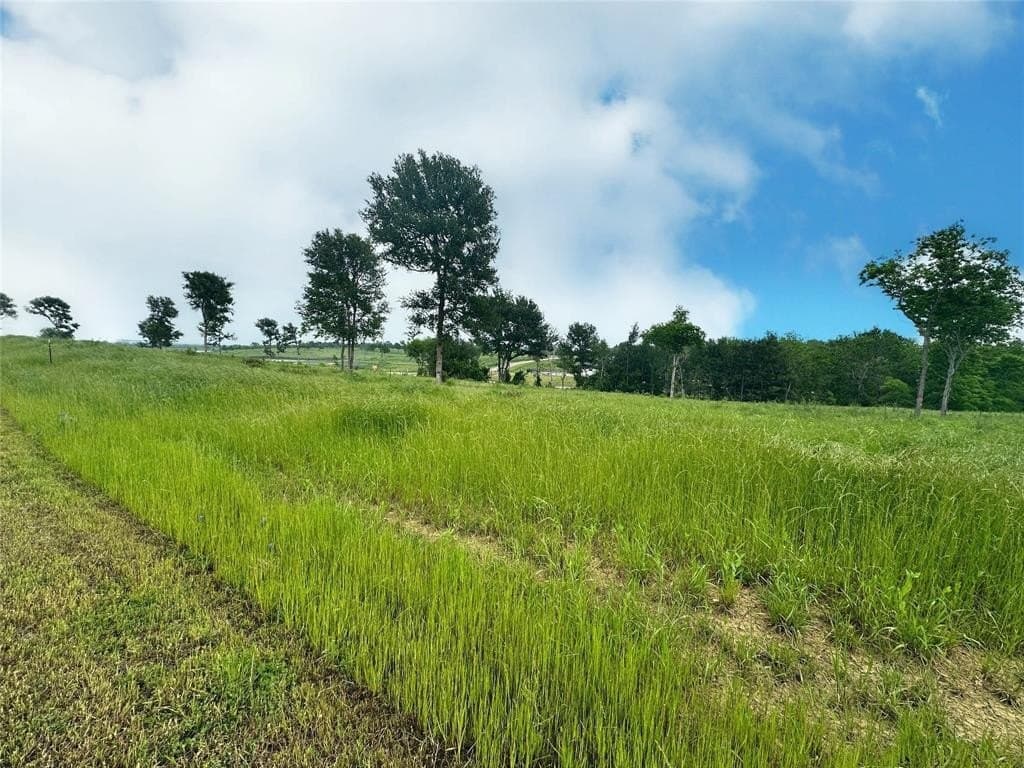 1.08 acres in Navarro County - photo 5