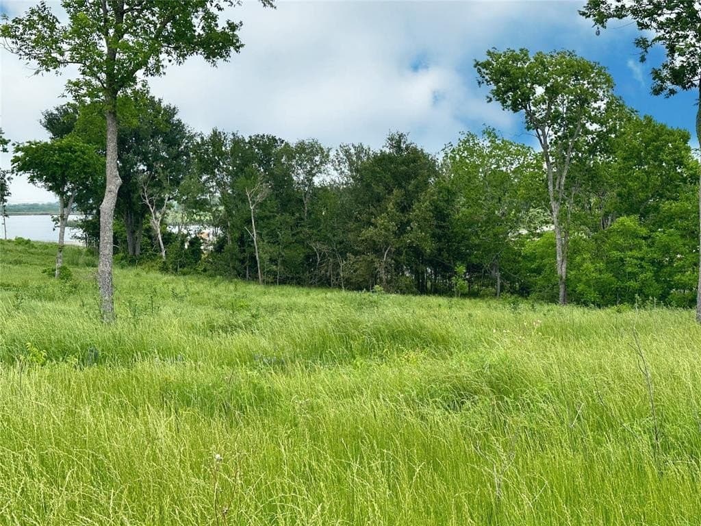 1.08 acres in Navarro County - photo 6