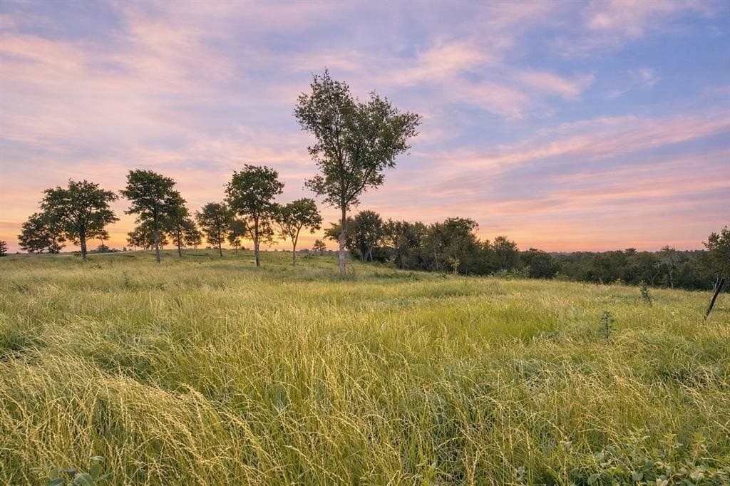 1.08 acres in Navarro County - photo 3