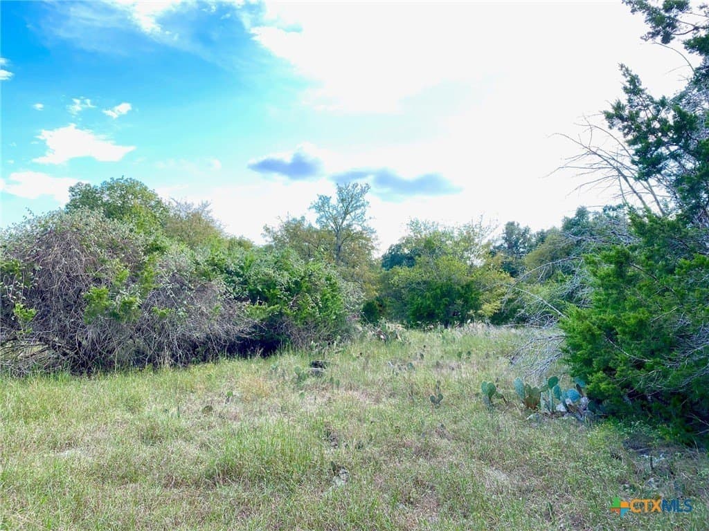 3.62 acres in Bell County - photo 4