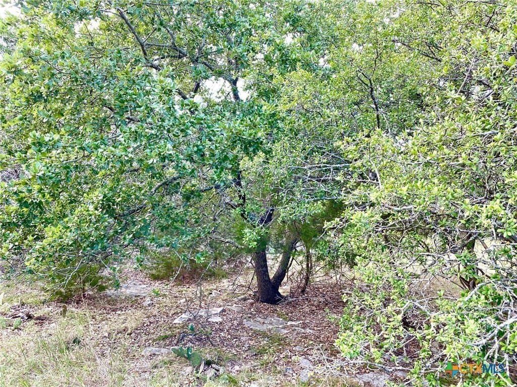 3.62 acres in Bell County - photo 2