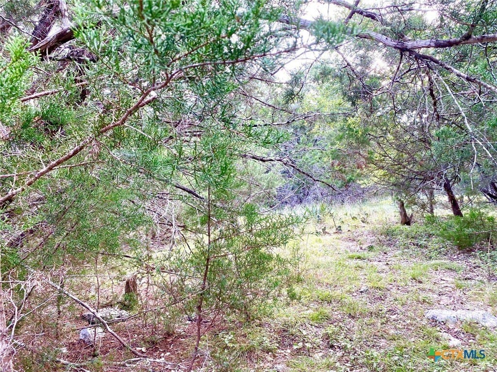 3.62 acres in Bell County - photo 3