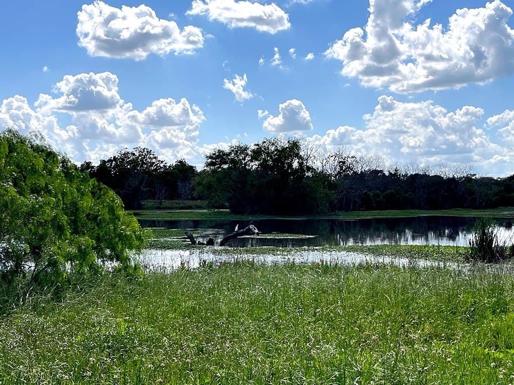 14.24 acres in Colorado County - photo 12