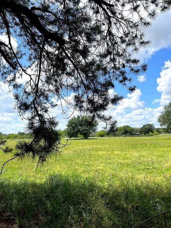 14.24 acres in Colorado County - photo 2