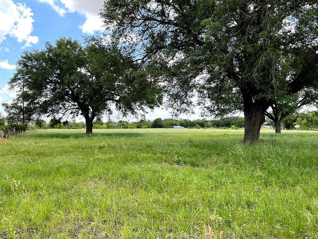 14.24 acres in Colorado County - photo 5