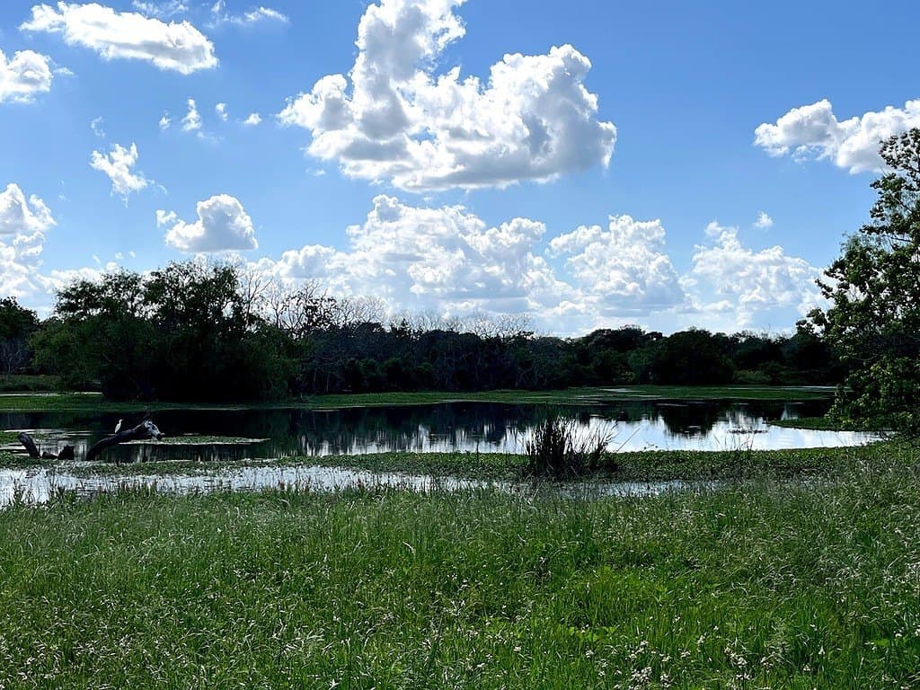 14.24 acres in Colorado County - photo 11