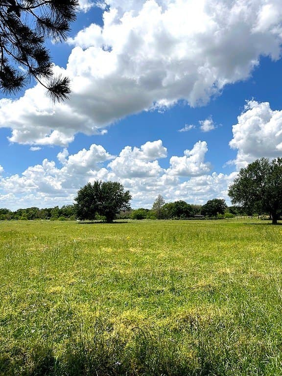 14.24 acres in Colorado County - photo 6